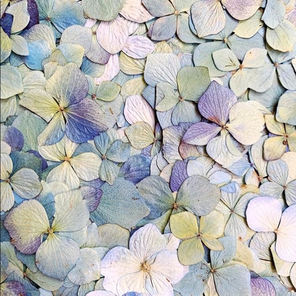 Meet your Posher, Arbor - Picture 1 of 1